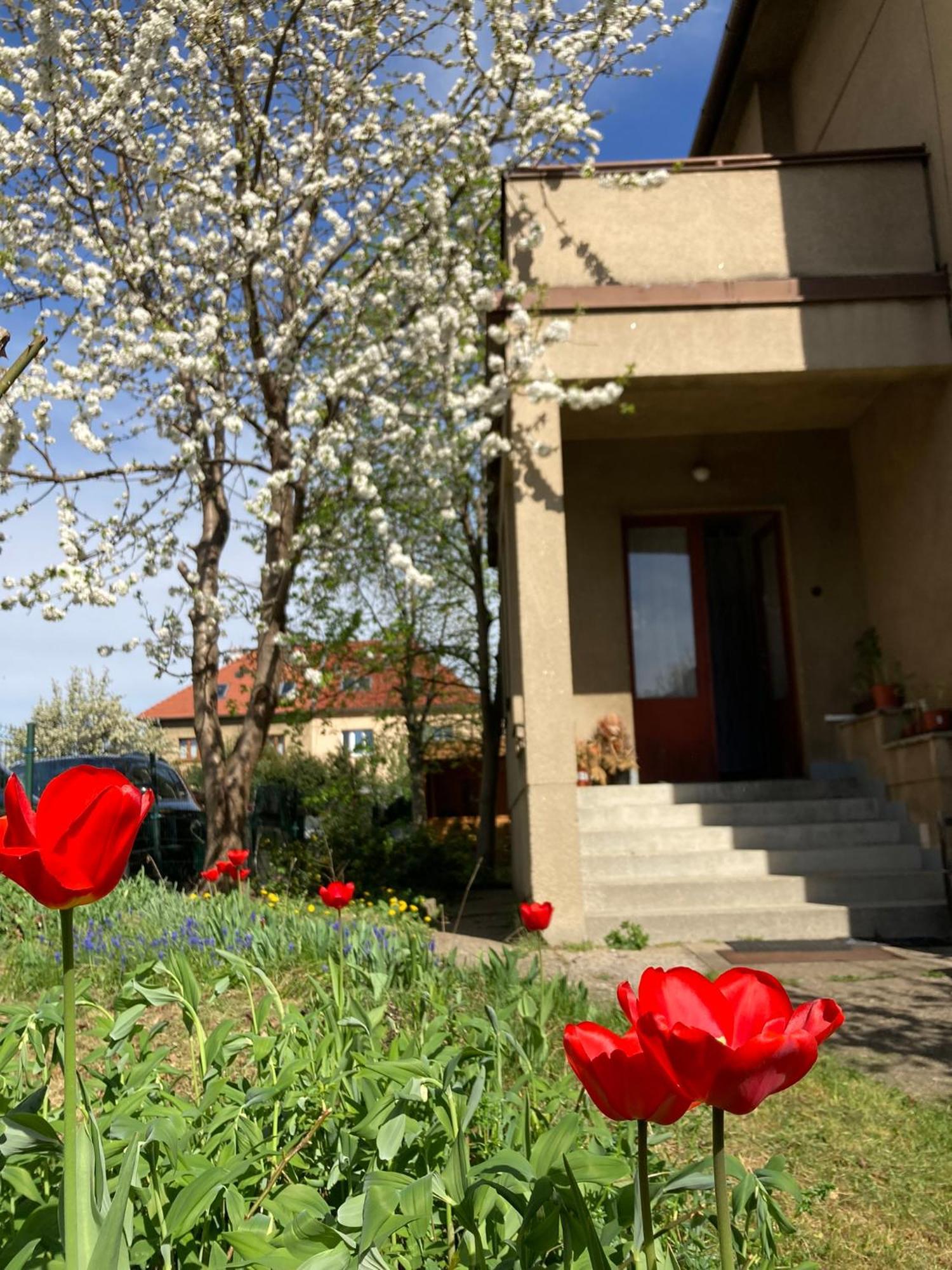 פראג Spacious Apartment - Free Parking! מראה חיצוני תמונה